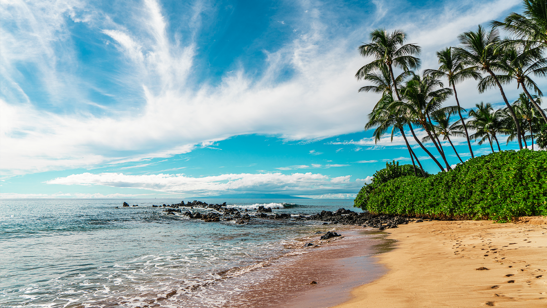 Tropical Maui shoreline with turquoise water, lava rocks, and a cluster of palm trees leaning over the sand