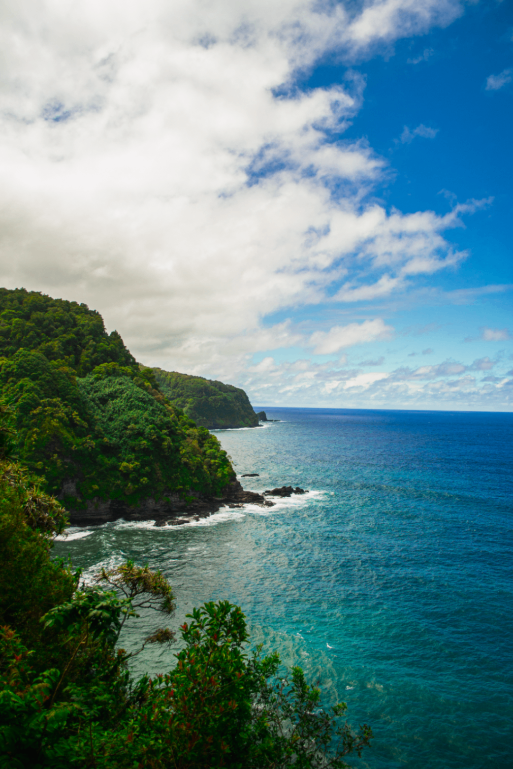 Verdant coastline dropping into bright blue water beneath large white clouds